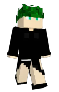 Front of fan0504's skin