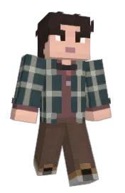 Skin preview