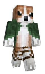 Fefo2572's Minecraft skin wearing the Cherry Blossom cape