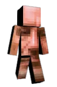 CPMAXXER