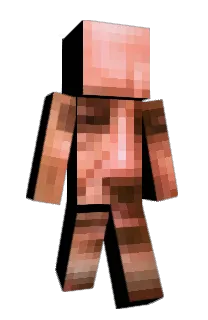 Front of biscuitoassasino's skin