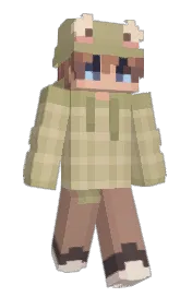 Skin preview