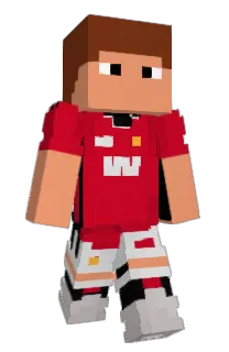 Front of widi11's skin