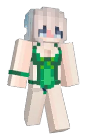 Skin preview