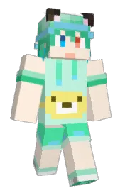 Skin preview