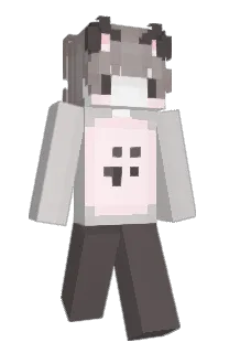 Front of ancil's skin