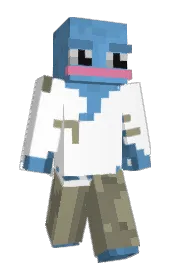 Skin preview