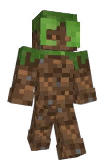 Front of SpringBocks's skin