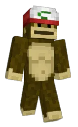 Minecraft skin — Classic model