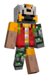 Front of Dqsh's skin