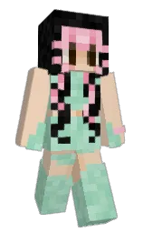 just right and hoki Minecraft skin — Slim model — first worn by Paahtoleipa_