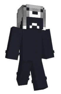 Front of Baiskup's skin