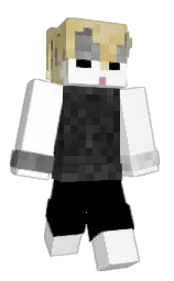 Classic Minecraft skin