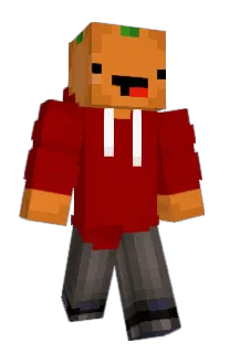 Front of Foxaco's skin