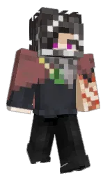 shark and au chico Minecraft skin — Classic model