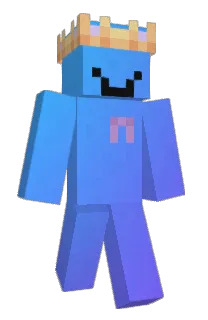 Front of NotSome1's skin