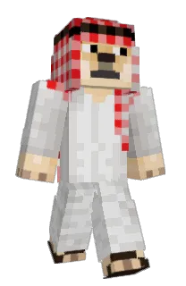 dolin01's Minecraft skin