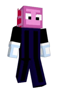 roseu147's Minecraft skin