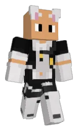 Minecraft skin — Classic model