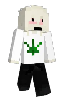 f9rt's Minecraft skin