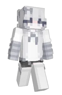 Front of AQ030's skin