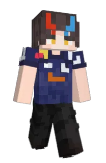 Front of Alekqss's skin