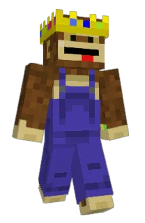 Ninjawalrus21's Minecraft skin