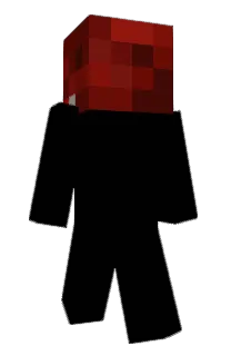 Front of 0TickDelay's skin