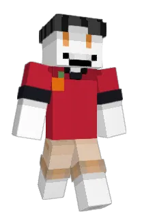 Front of tusd's skin
