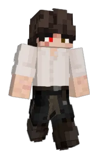 Front of shotokyn's skin