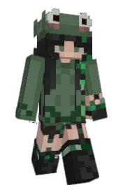 Skin preview
