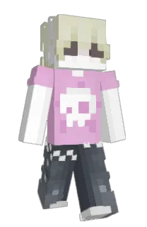 Front of aapathies's skin