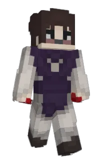 Front of vhdn's skin