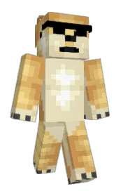 Skin preview
