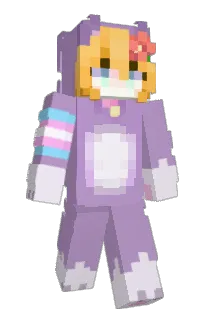 Front of blahajs's skin