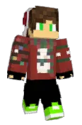 RaiGamess