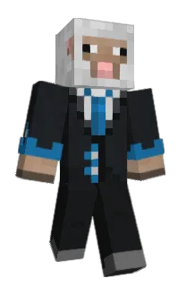 hxsain23's Minecraft skin