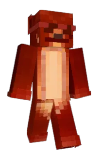 Front of APCHItik's skin