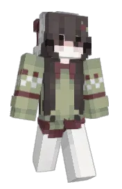 Skin preview