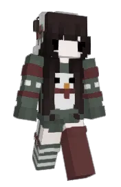 Skin preview
