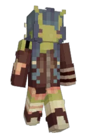 Skin preview