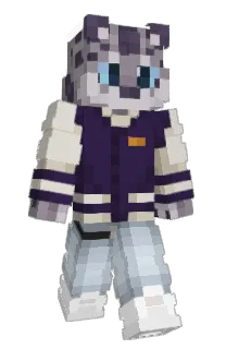 Front of Reformic's skin