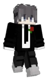 Minecraft skin — Classic model