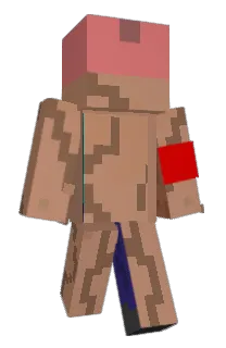 Front of brinso's skin