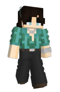 Front of TropicalT's skin