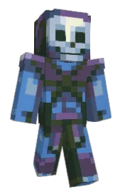 Skin preview