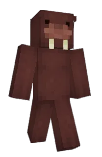 Front of Frontals's skin