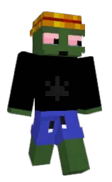Minecraft skin — Classic model