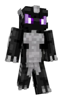 Front of obicajnyzahradka's skin