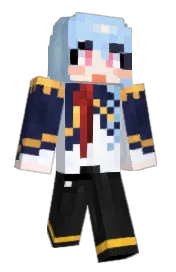 Skin preview